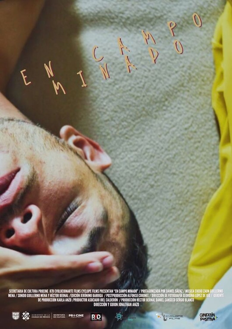 Poster of En campo minado
