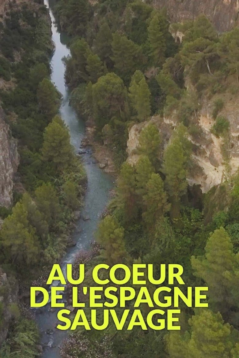 Poster of The Wild Heart of Spain