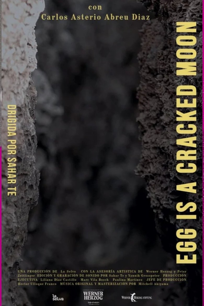 Poster of Egg is a Cracked Moon