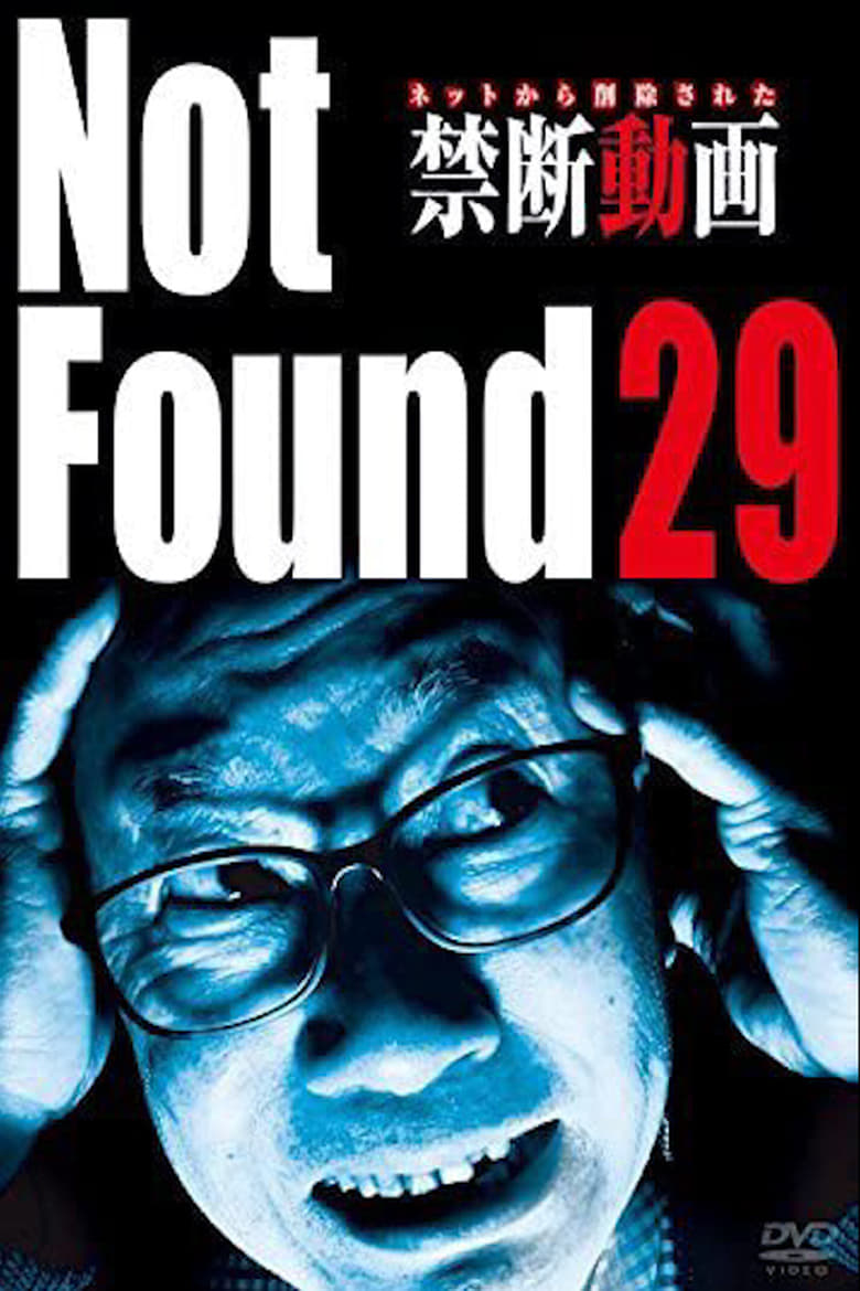 Poster of Not Found 29