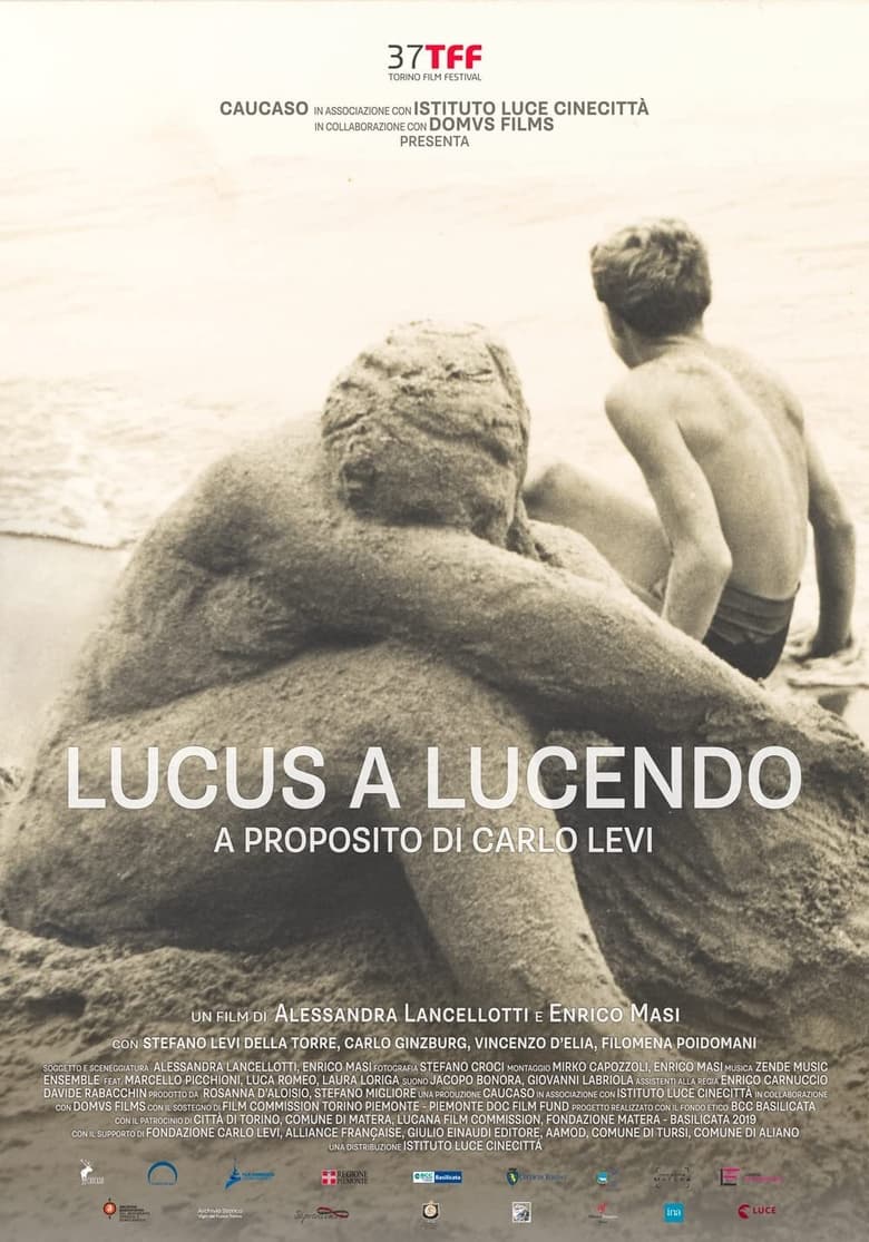 Poster of Lucus a Lucendo - A proposito di Carlo Levi