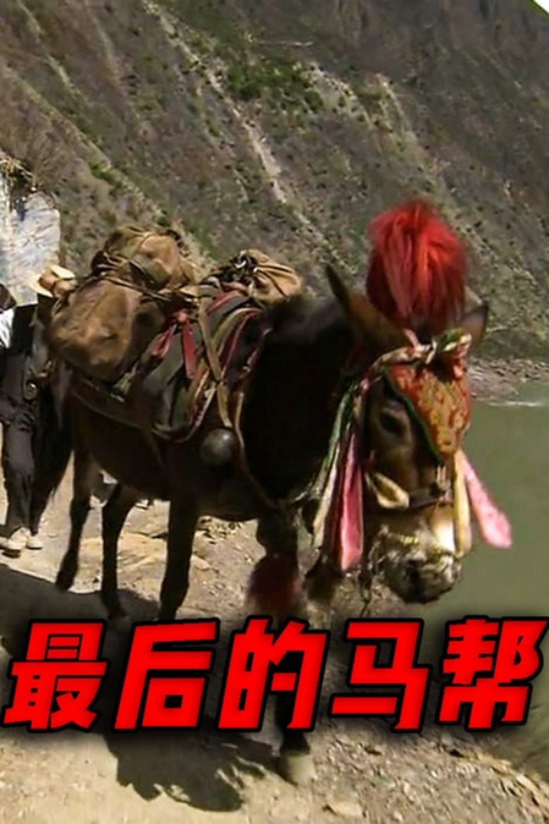 Poster of 最后的马帮