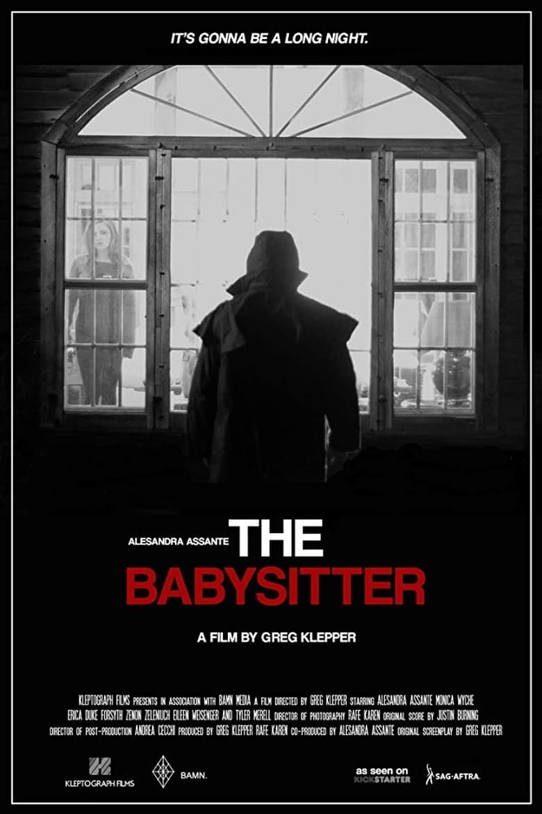 Poster of The Babysitter