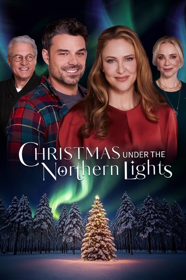 Poster of Christmas Under the Northern Lights