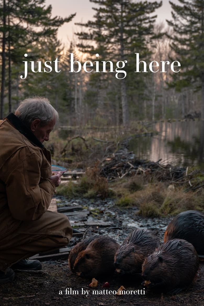 Poster of Just Being Here