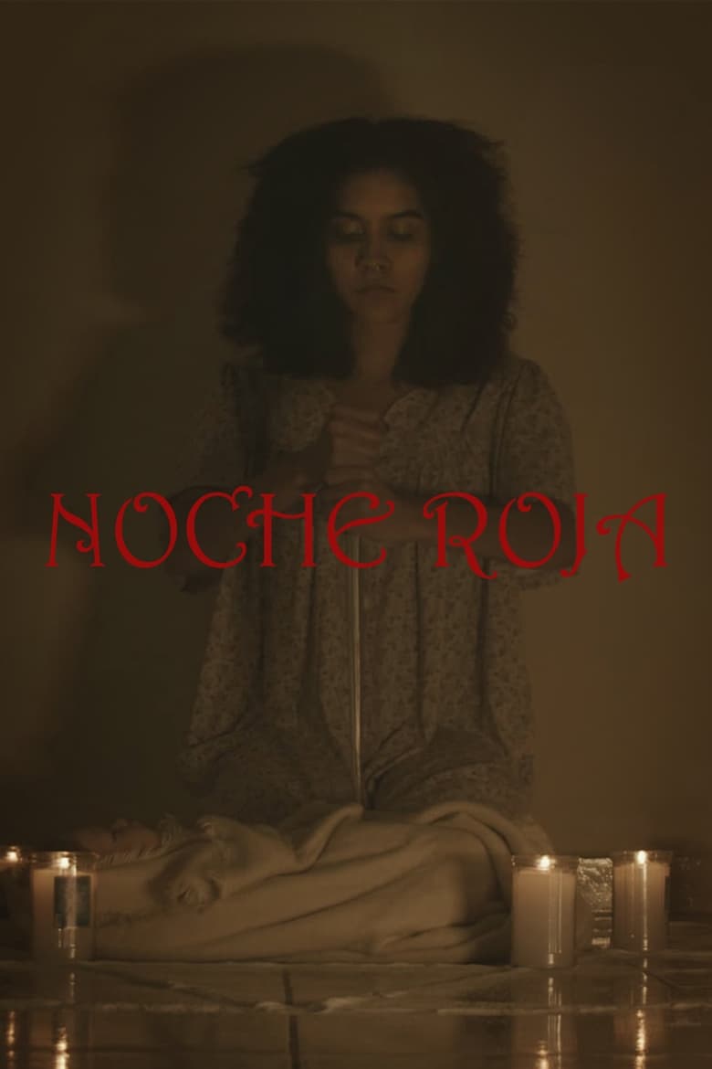 Poster of Red Night