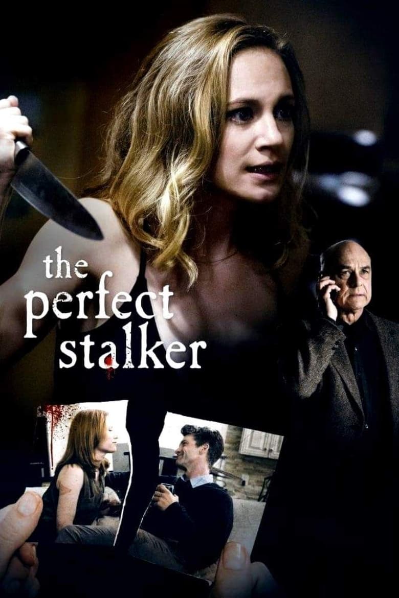 Poster of The Perfect Stalker