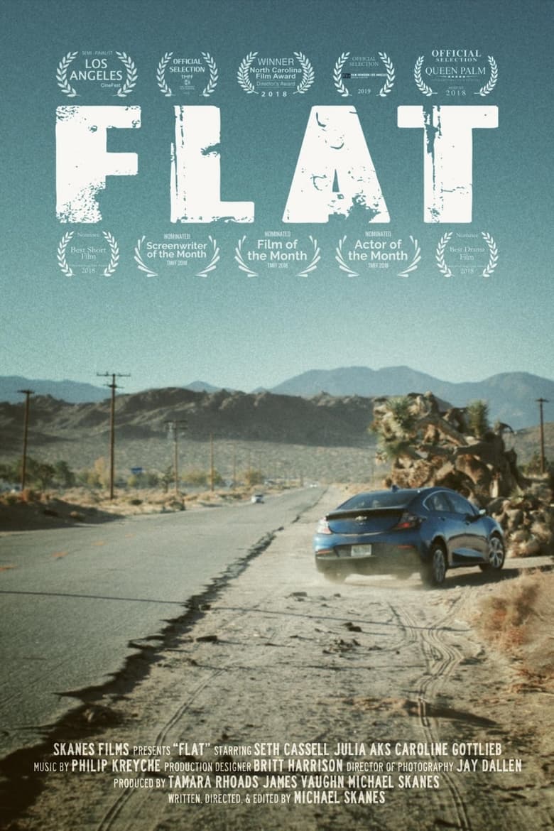 Poster of Flat