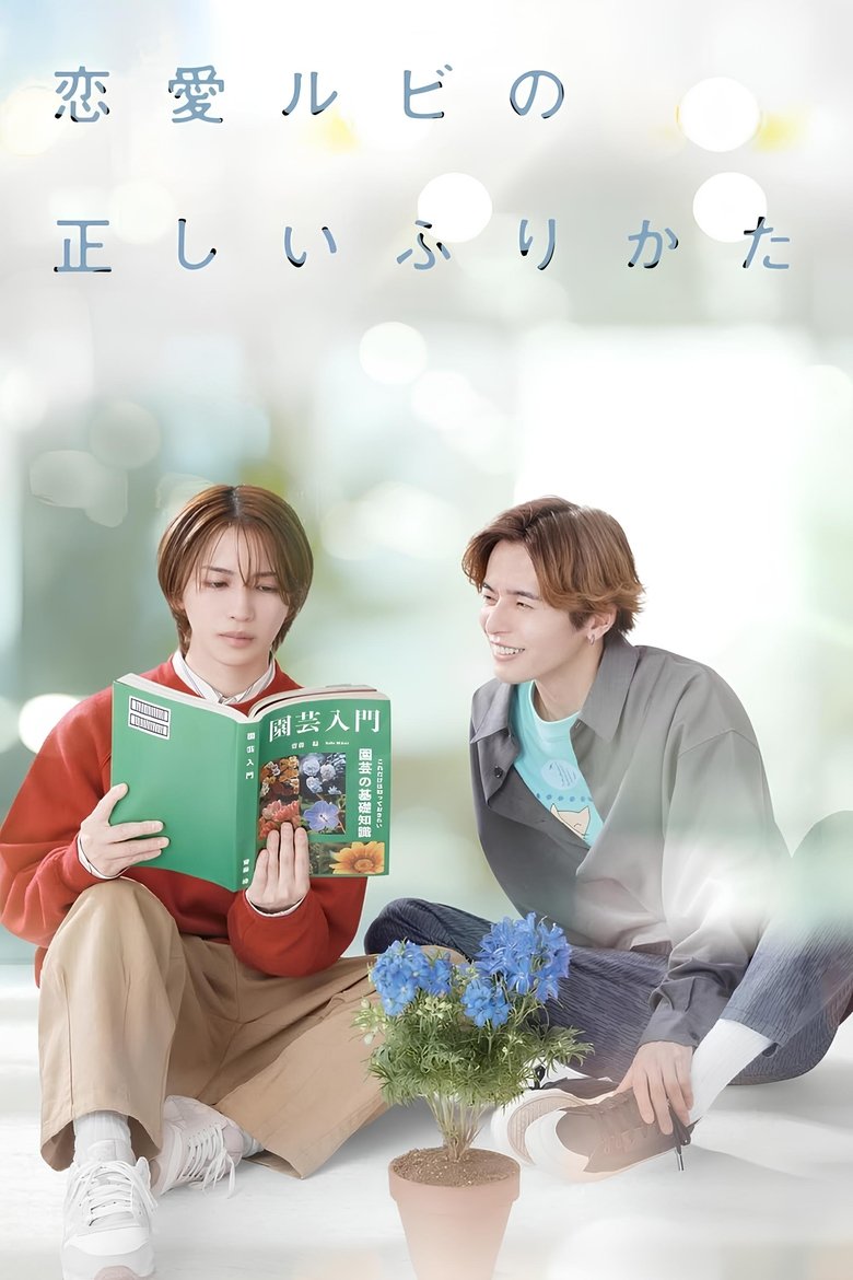 Poster of The Proper Way to Write Love