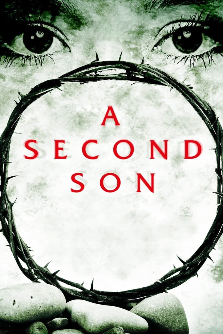 Poster of A Second Son