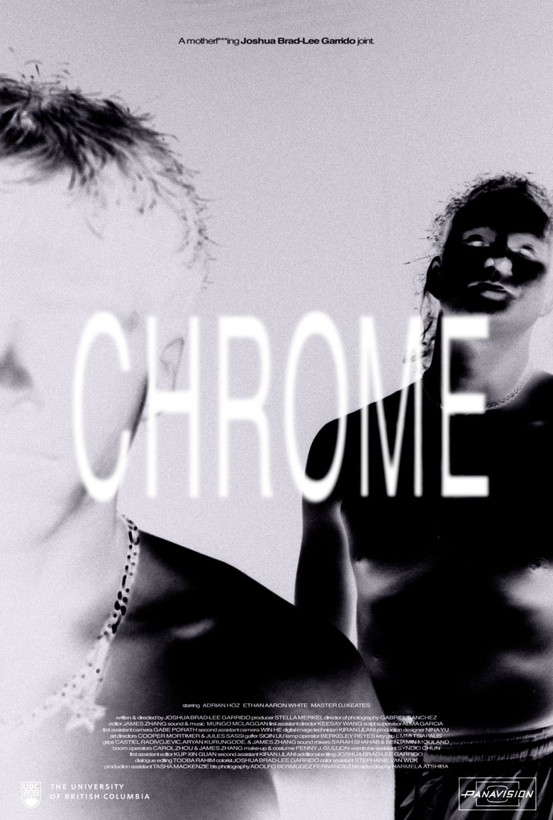 Poster of Chrome