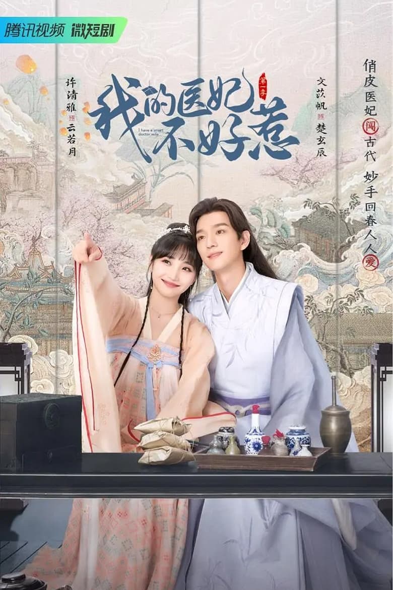 Poster of I Have a Smart Doctor Wife