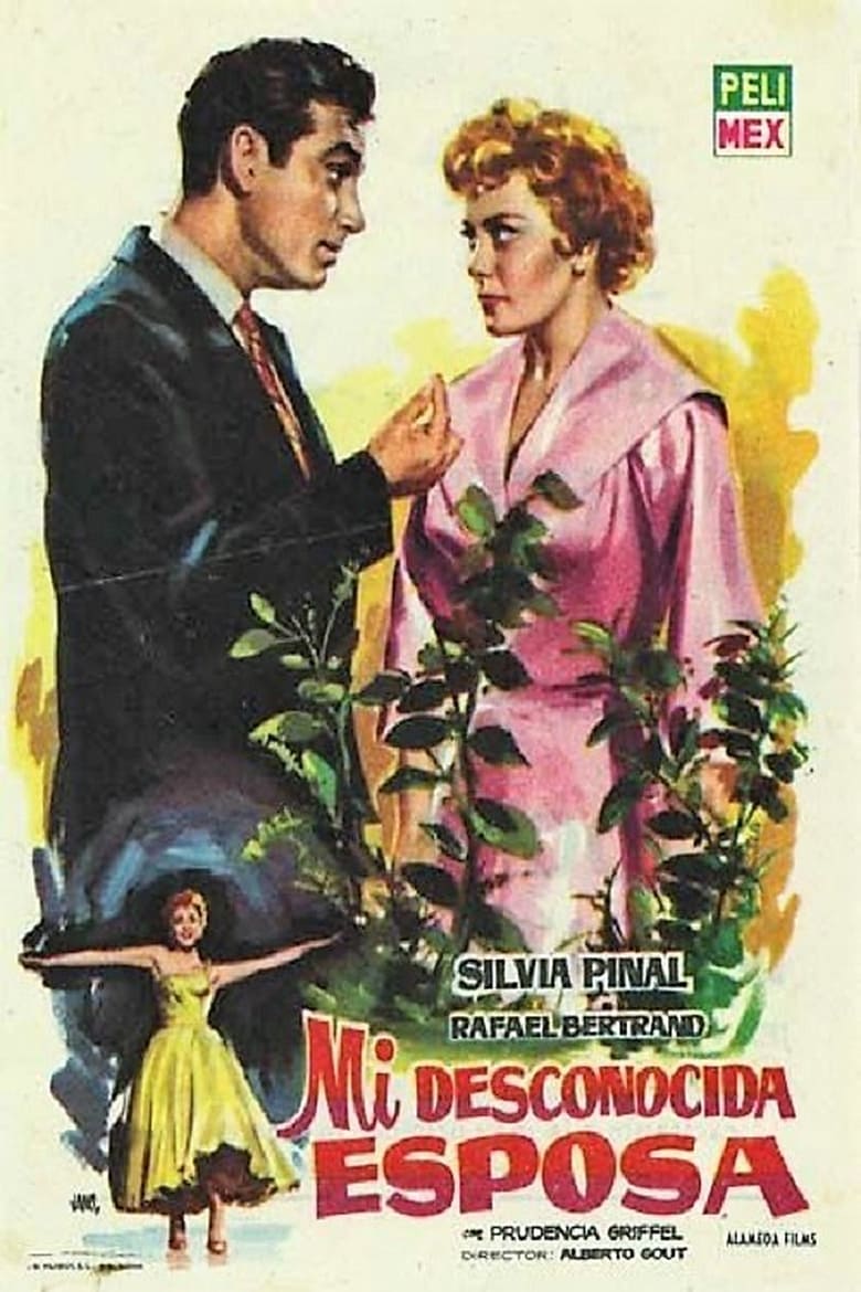 Poster of Mi desconocida esposa