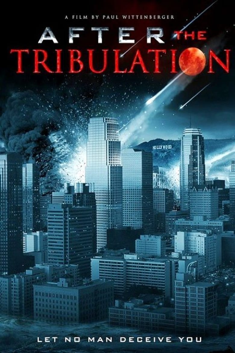 Poster of After the Tribulation