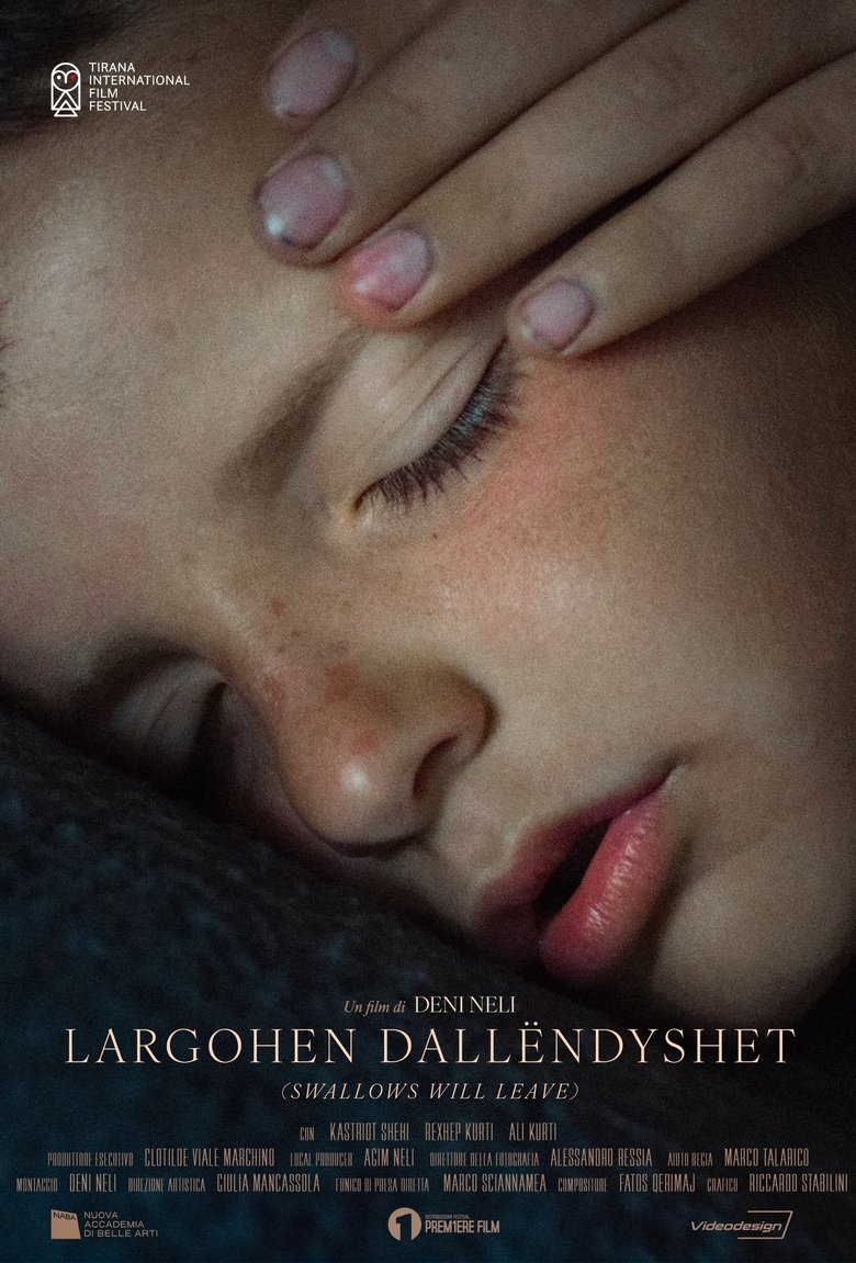 Poster of Largohen Dallëndyshet