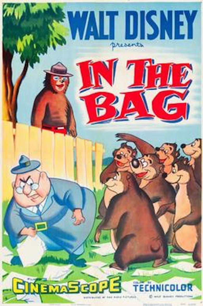 Poster of In the Bag