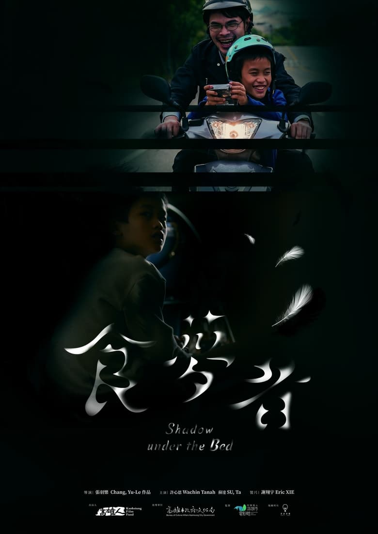 Poster of Shadow Under the Bed