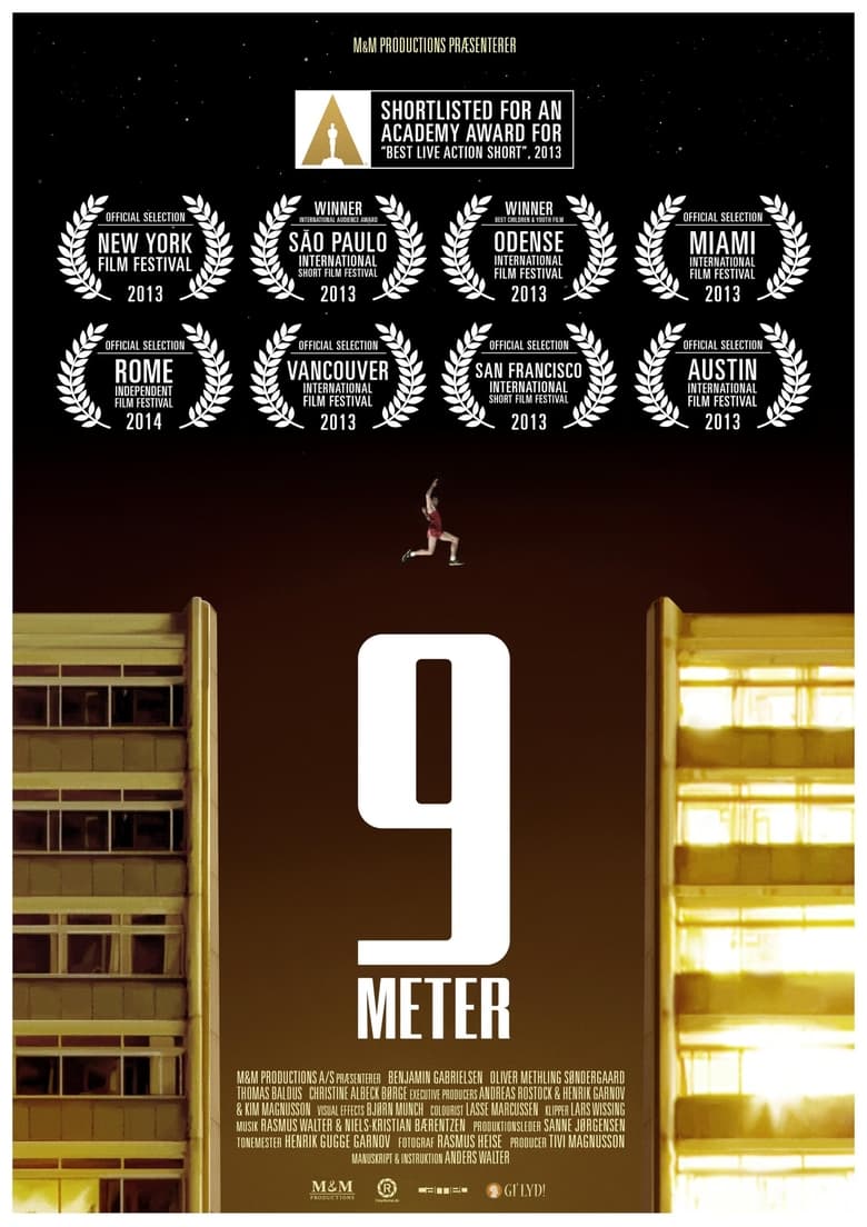 Poster of 9 Meter