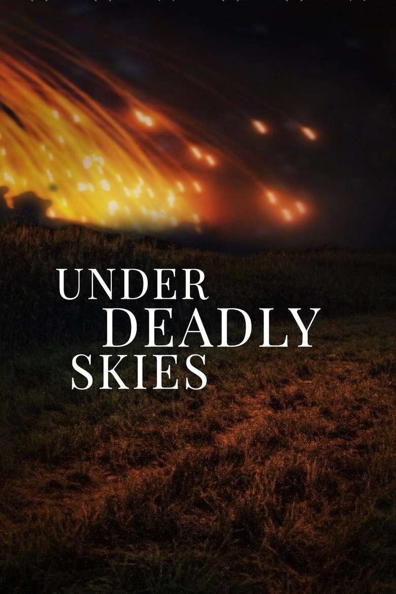 Poster of Under Deadly Skies: Ukraine's Eastern Front