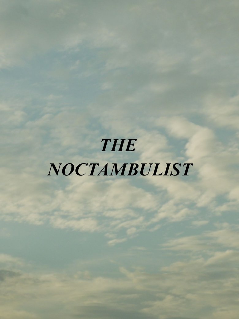 Poster of The Noctambulist