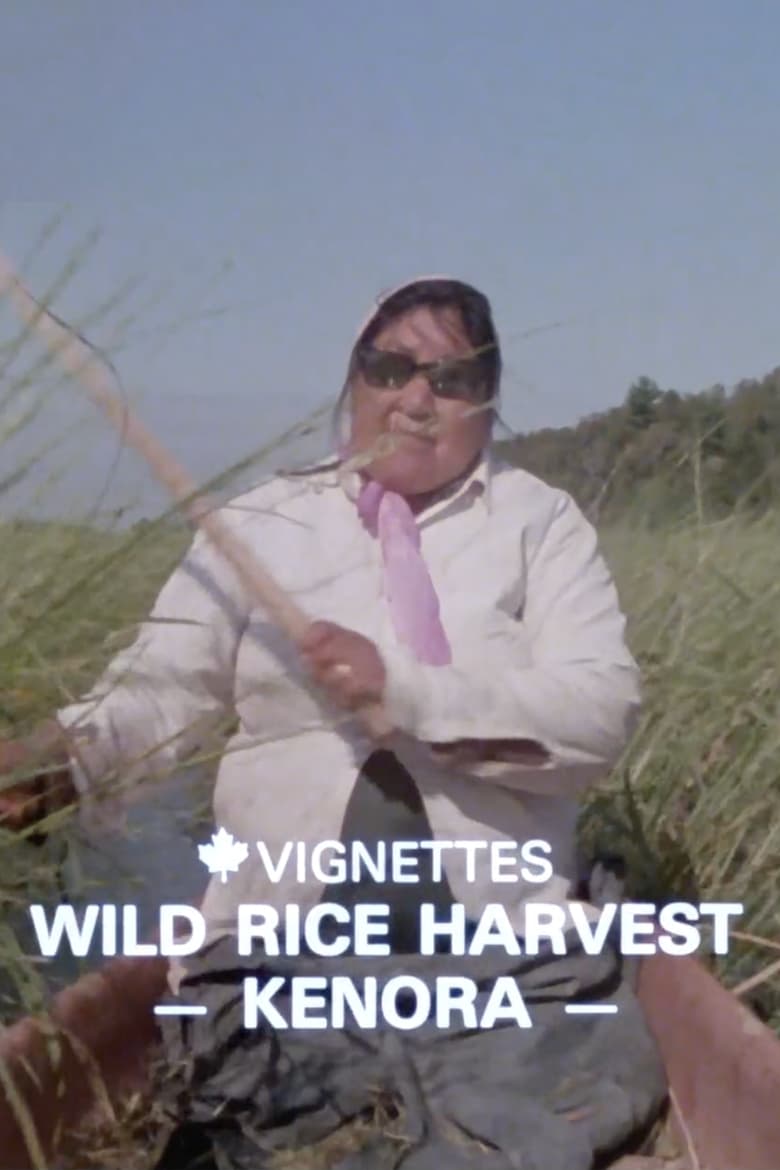 Poster of Canada Vignettes: Wild Rice Harvest Kenora