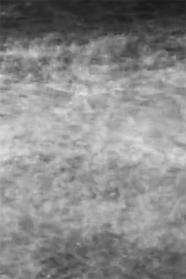 Poster of Waves