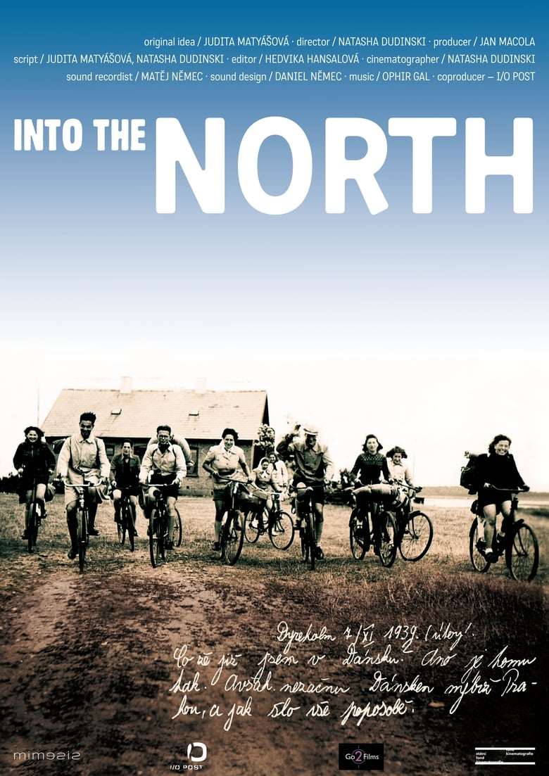 Poster of Into the North