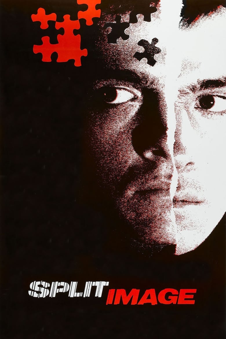 Poster of Split Image