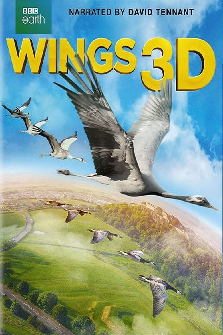 Poster of Wings 3D