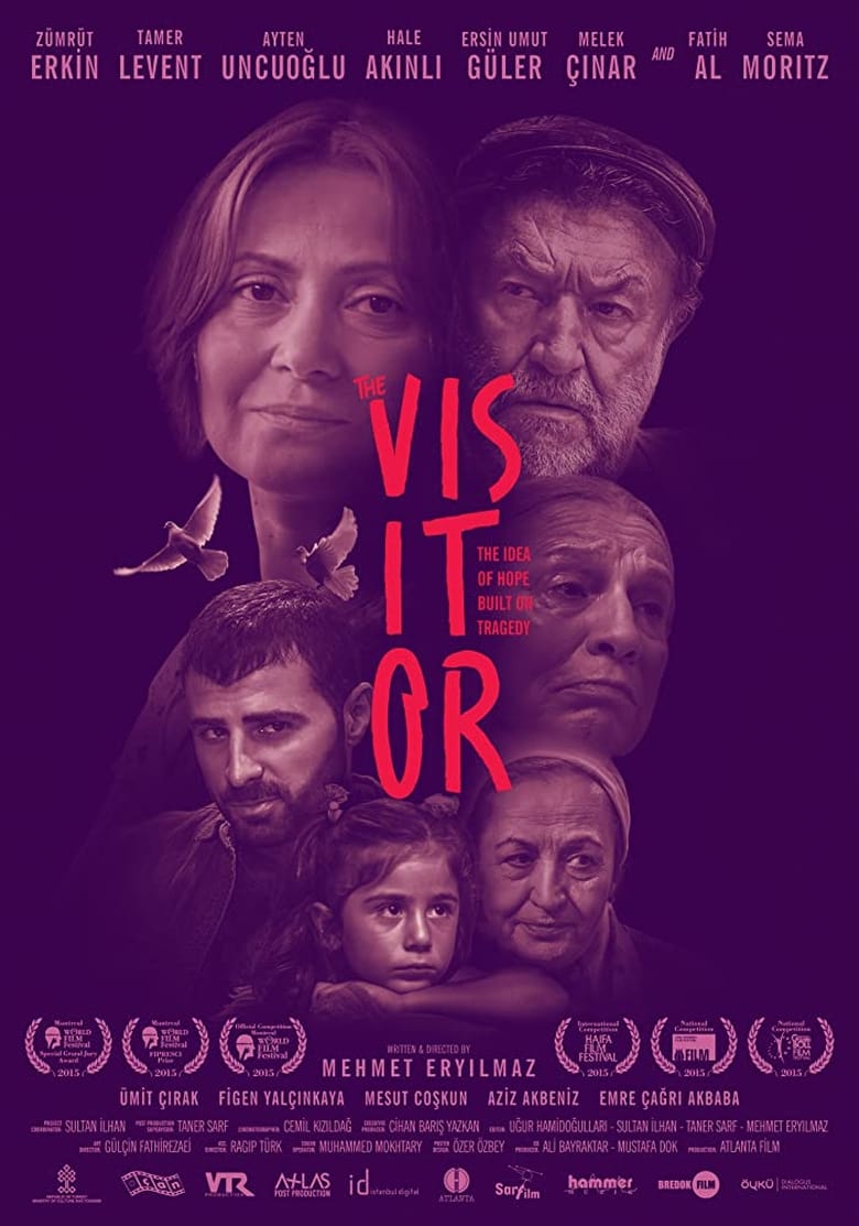 Poster of The Visitor