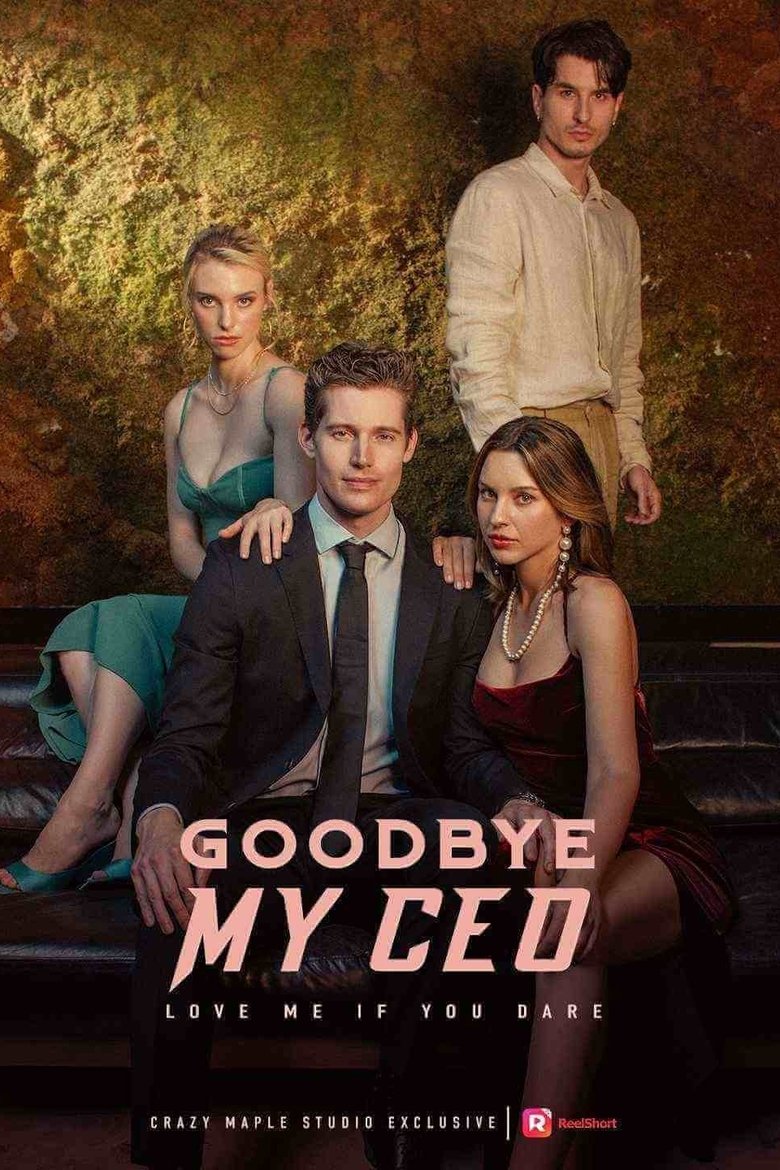 Poster of Goodbye, My CEO