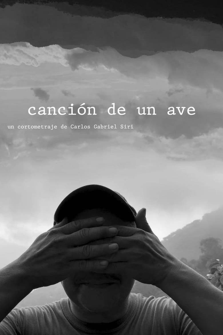 Poster of canción de un ave