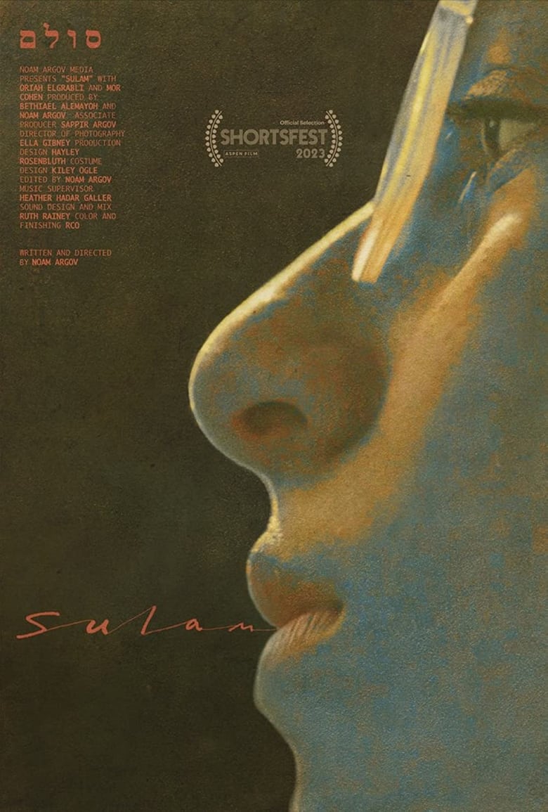 Poster of Sulam