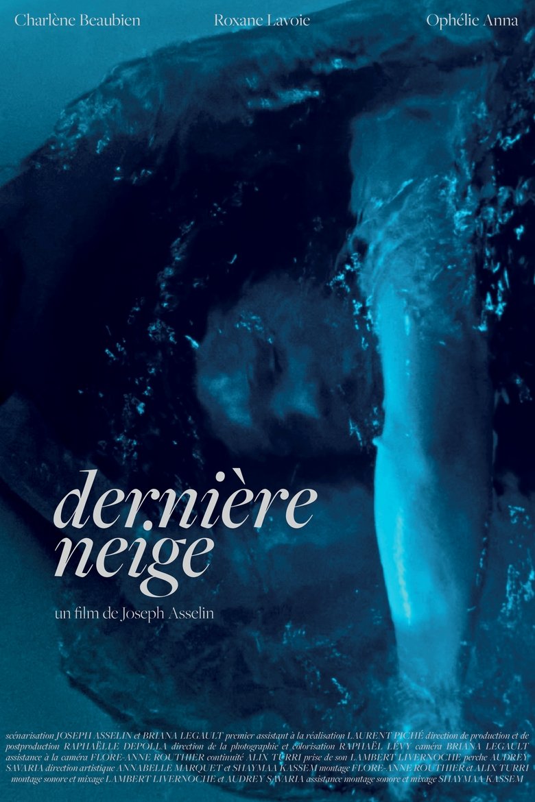 Poster of Dernière neige