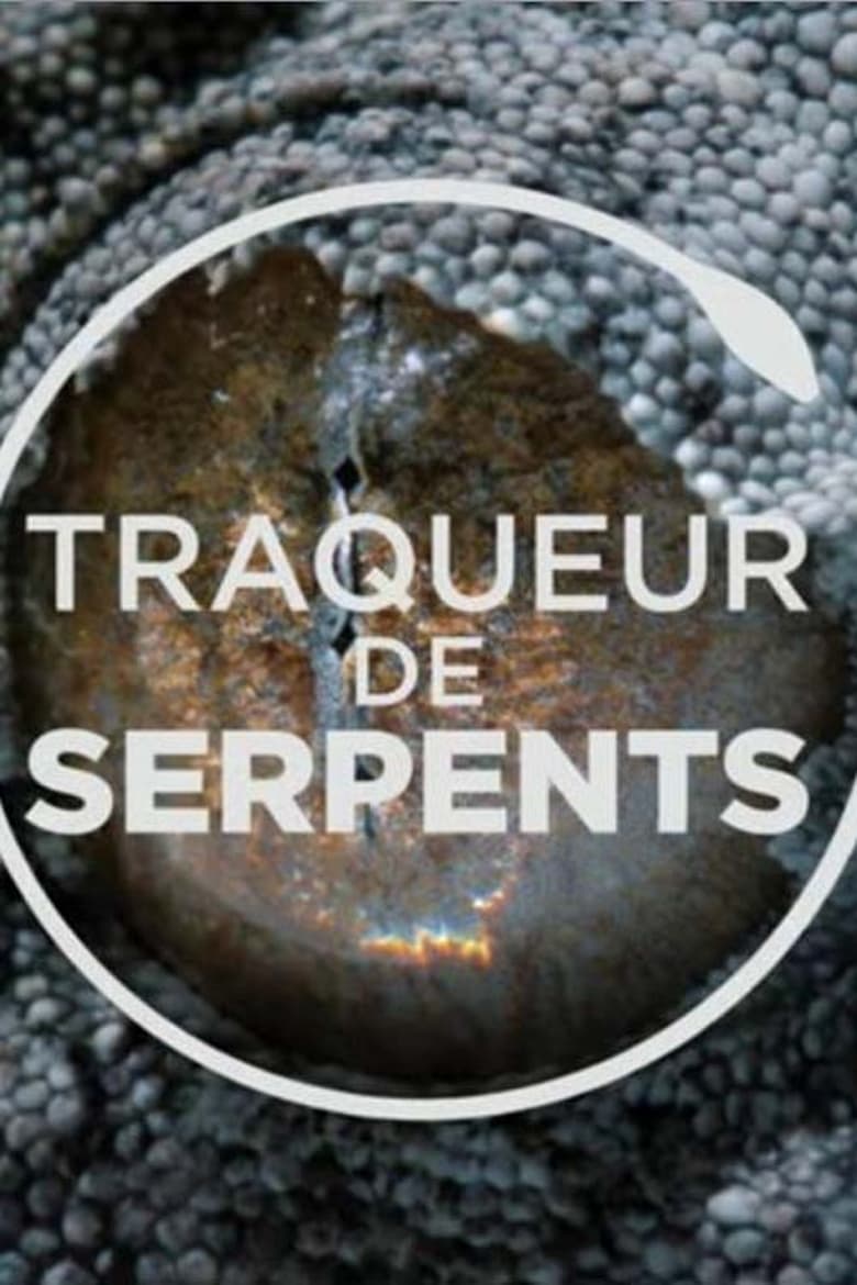 Poster of Traqueur de serpents