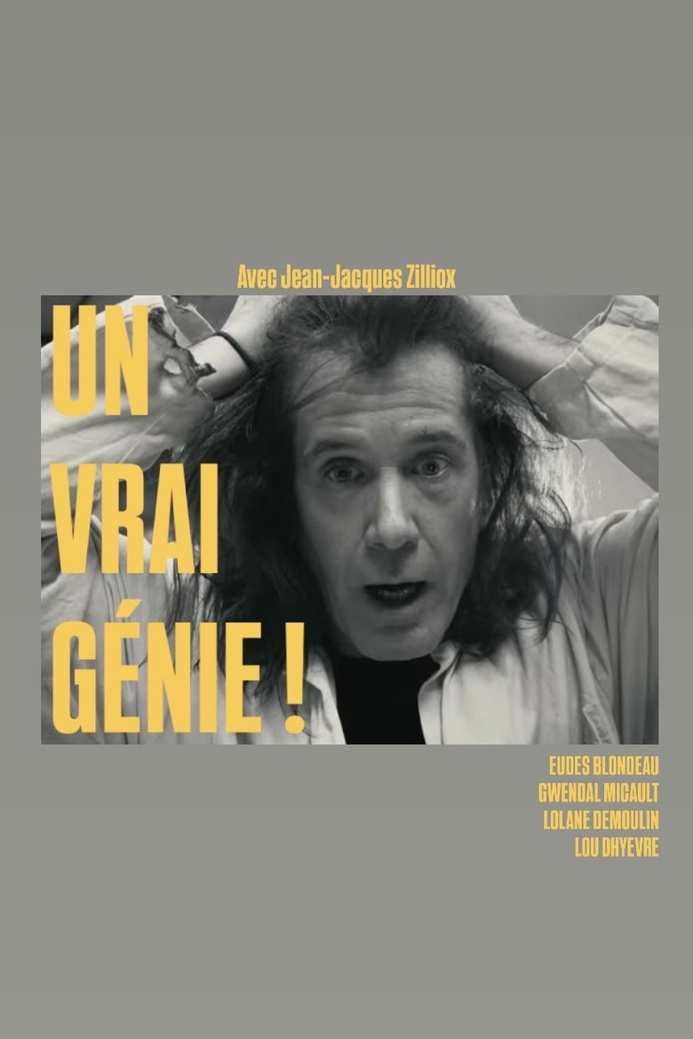 Poster of Un vrai génie !