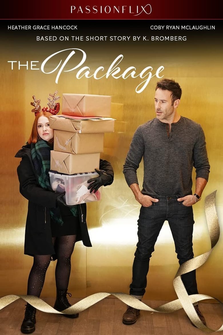 Poster of The Package