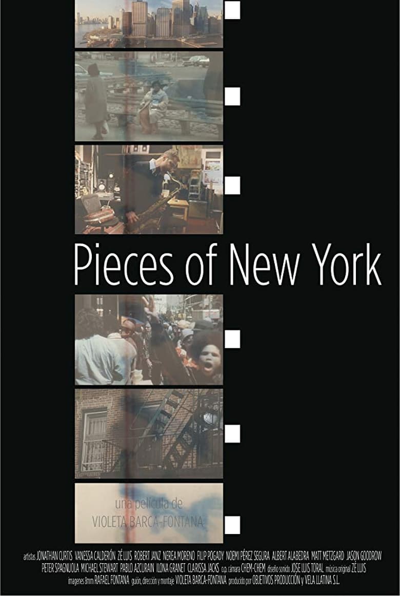 Poster of Pieces of New York