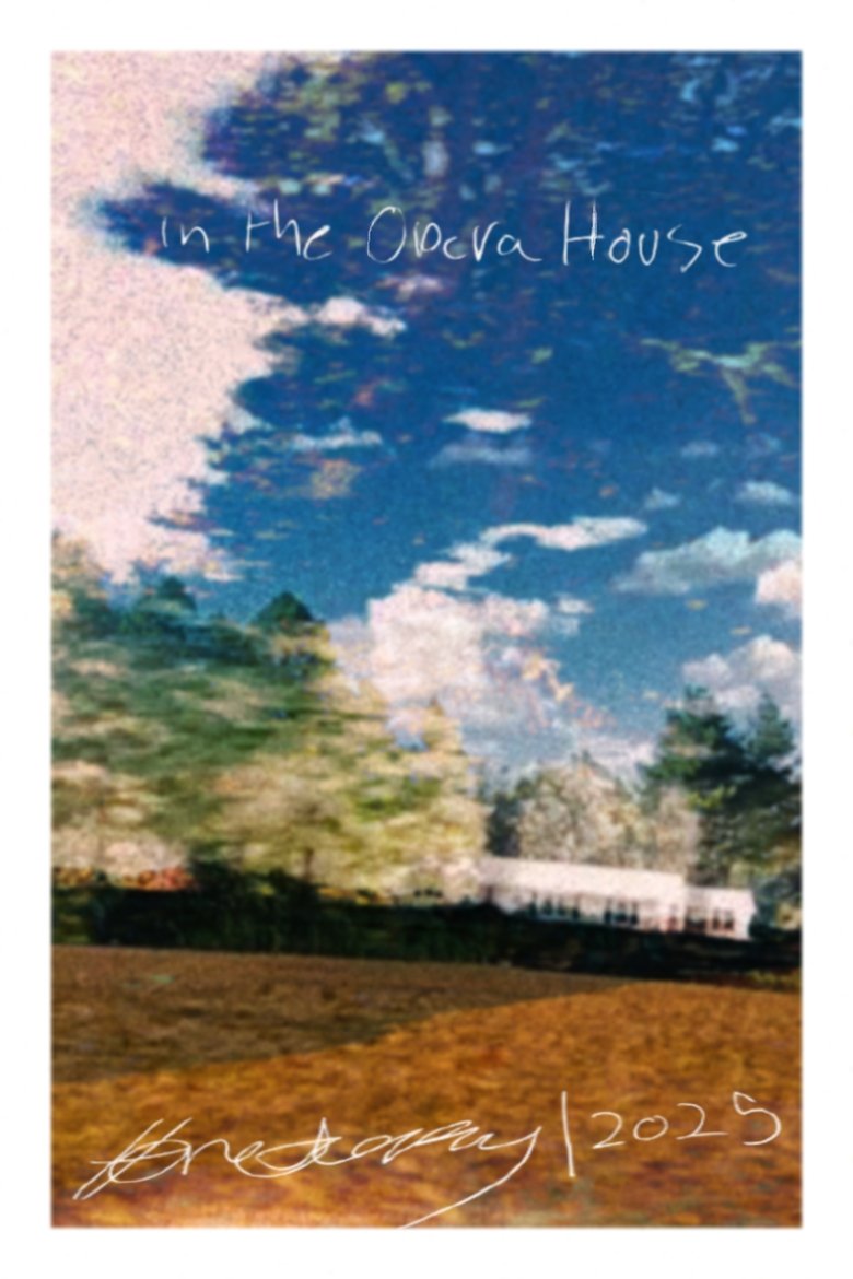Poster of In the Opera House