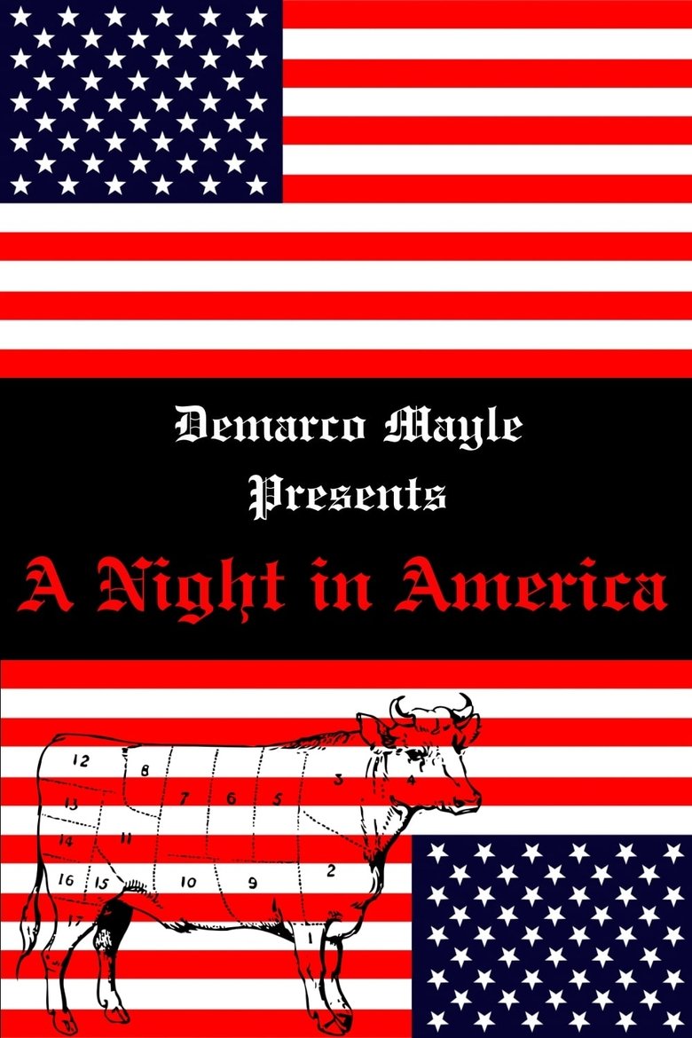 Poster of A Night in America