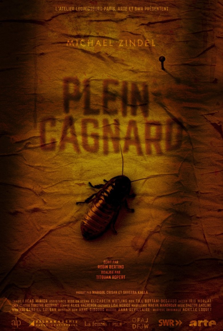 Poster of Plein Cagnard