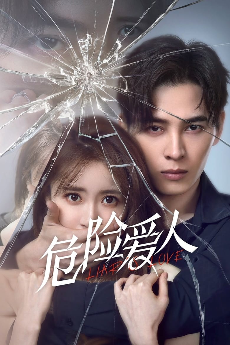 Poster of Liar's Love