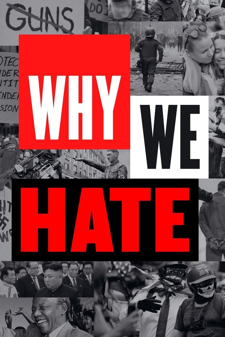 Poster of Why We Hate