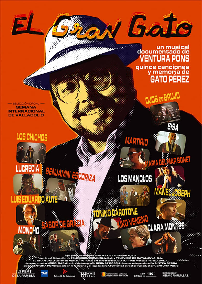 Poster of El gran Gato