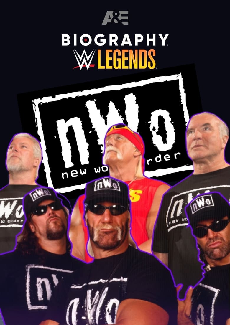 Poster of Biography: nWo