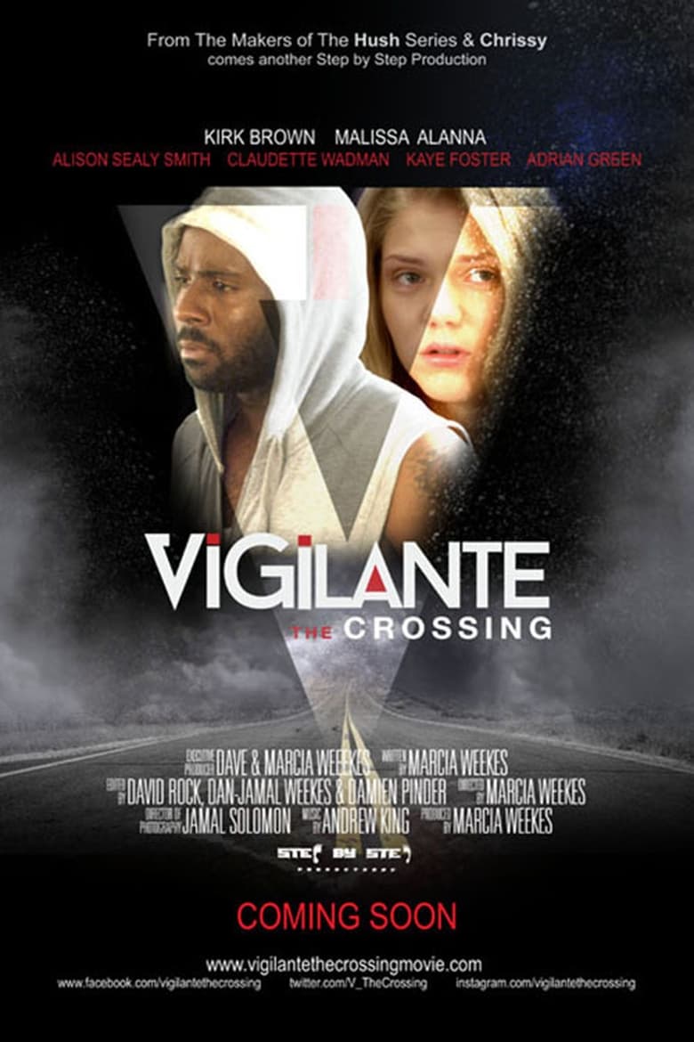 Poster of Vigilante: The Crossing