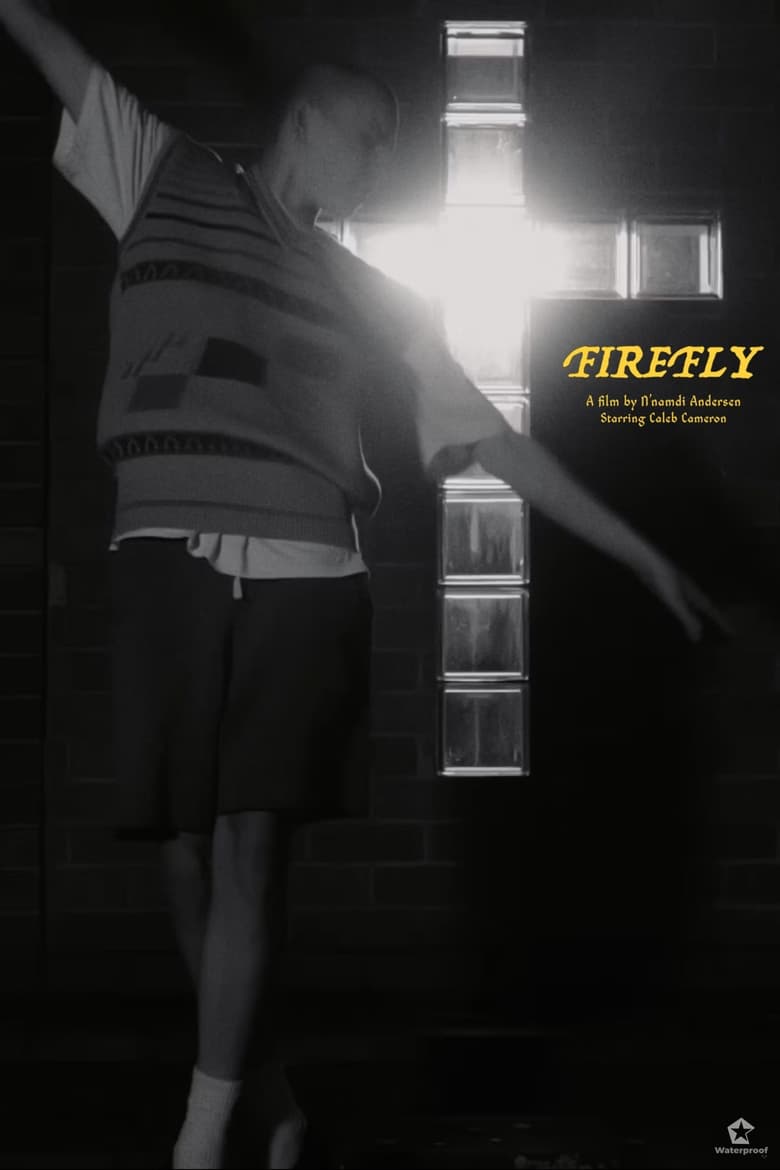 Poster of Firefly