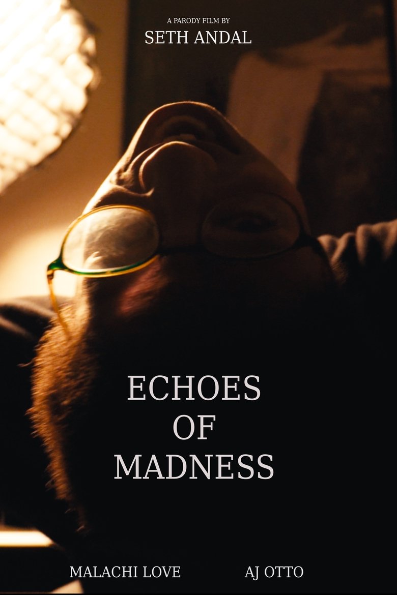 Poster of Echoes of Madness