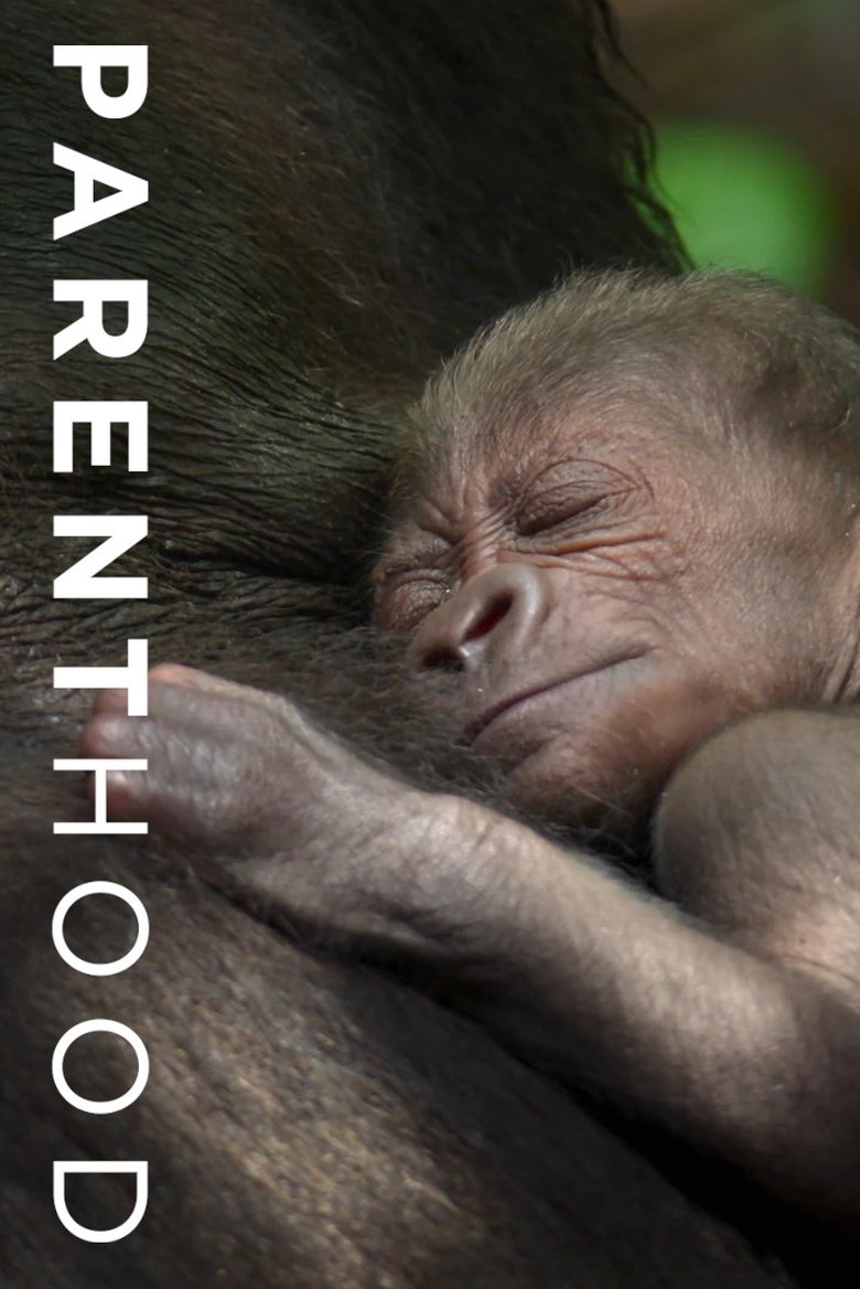 Poster of Parenthood