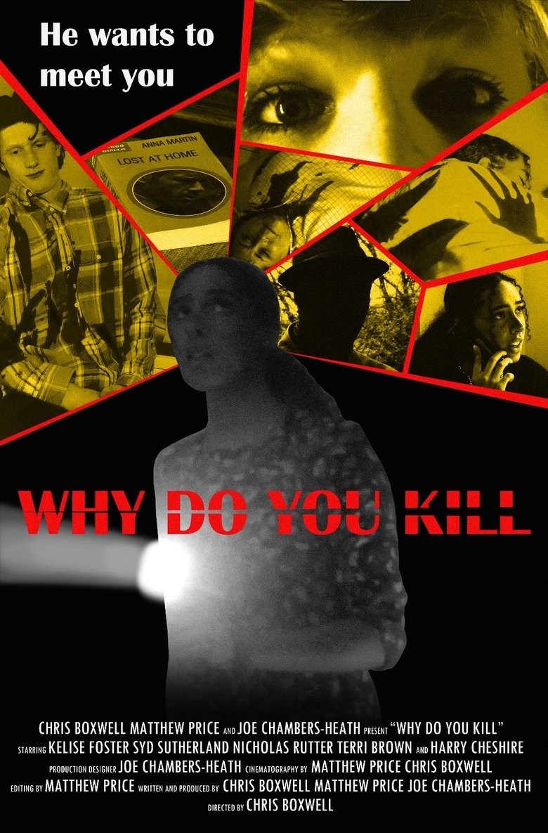 Poster of Why Do You Kill